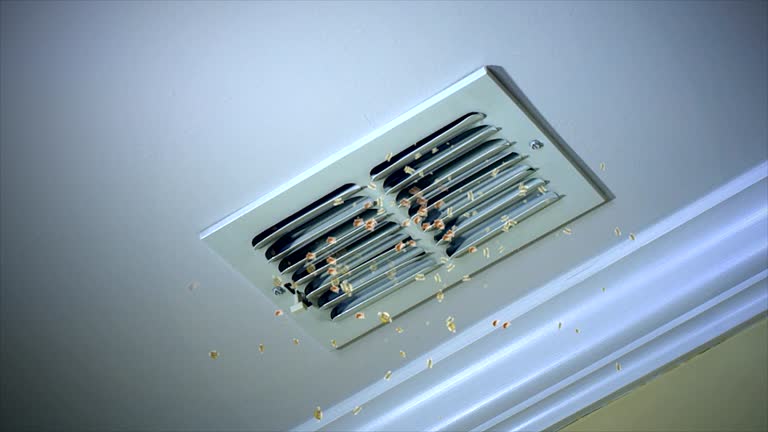 Ventilation Cleaning Services in Lynn Haven, FL